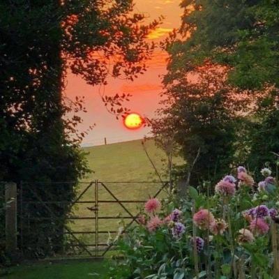 NG体育·(南宫)手机app下载