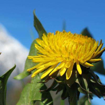 bet官网365app下载1069