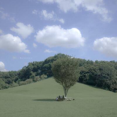 风云体育app下载安装苹果