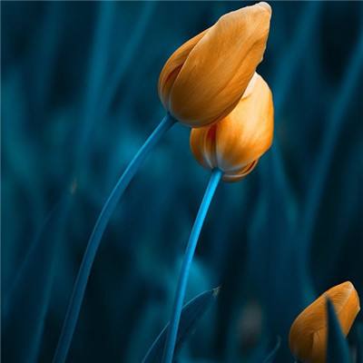 江南娱乐app官网下载官方入口